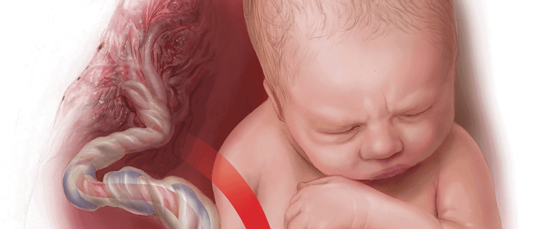 The Impact of Birth Injury on the Fetus